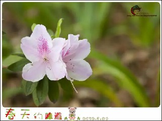 哈佛商业评论年月版哈佛商业评论出版集团总......《空降高管不靠谱》摘录